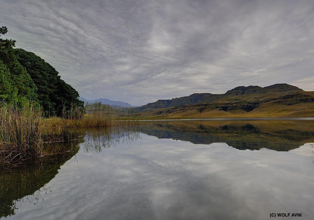 Giantscup Wilderness Reserve Ундерберг Экстерьер фото