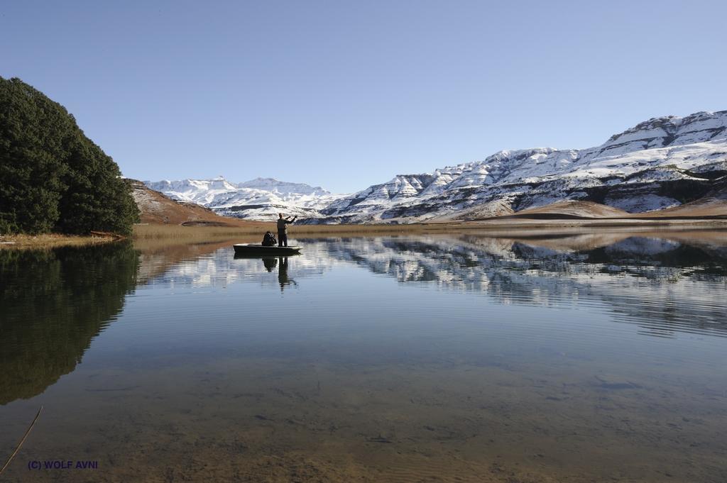 Giantscup Wilderness Reserve Ундерберг Экстерьер фото